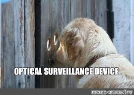 Surveillance