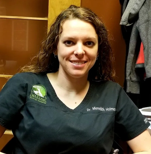Dr. Meredith Davis Holmes