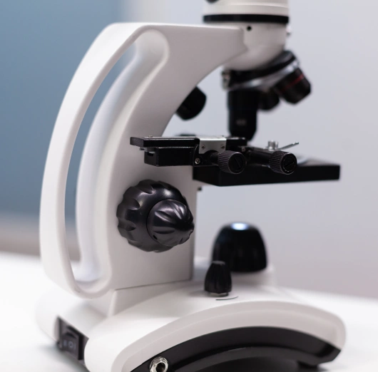 In-House Laboratory Diagnostics