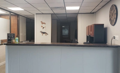 Office Area