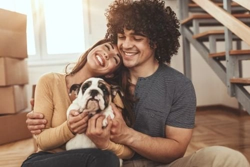 Bringing a New Pet in the Home in the New Year