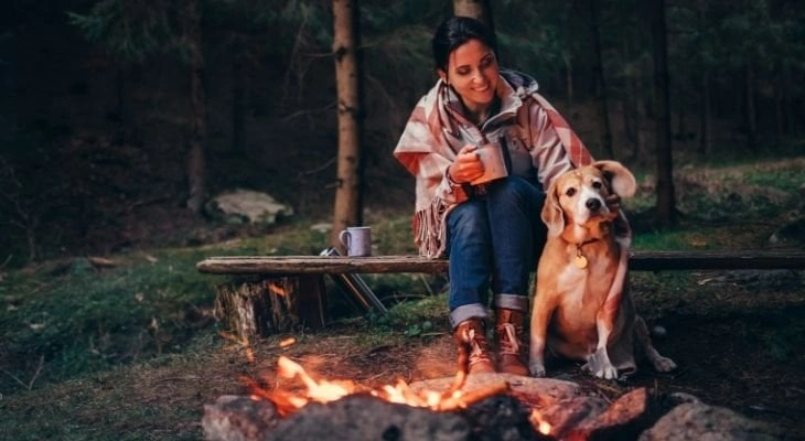 Camping with Pets