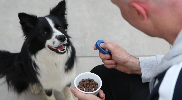 December Newsletter: The Benefits of Clicker Training