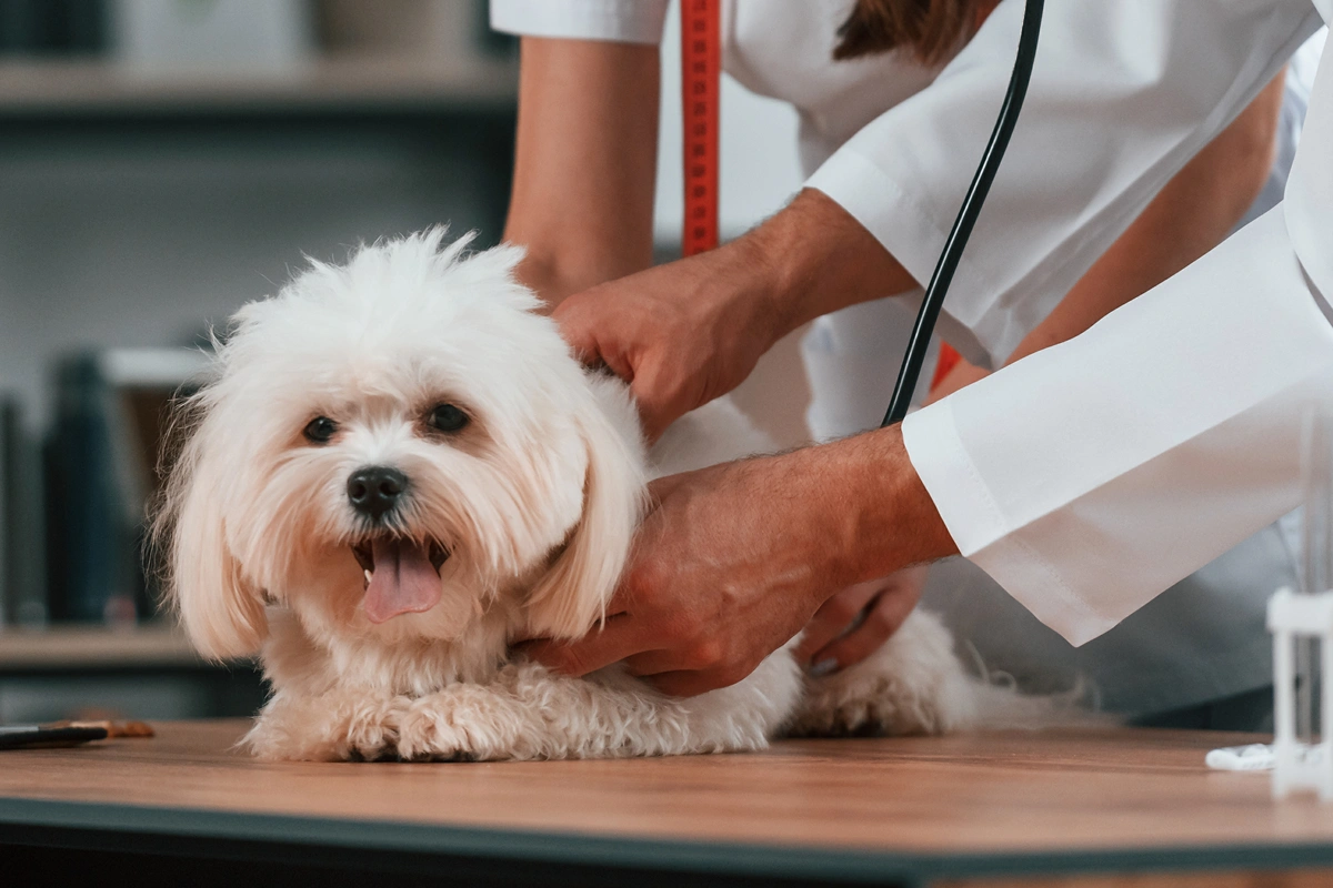 Lumps and Bumps: Routine Visits Pay Off