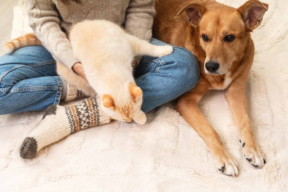 Pet Care During Tough Times