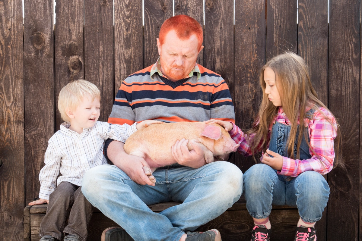 Pigs as Family Pets