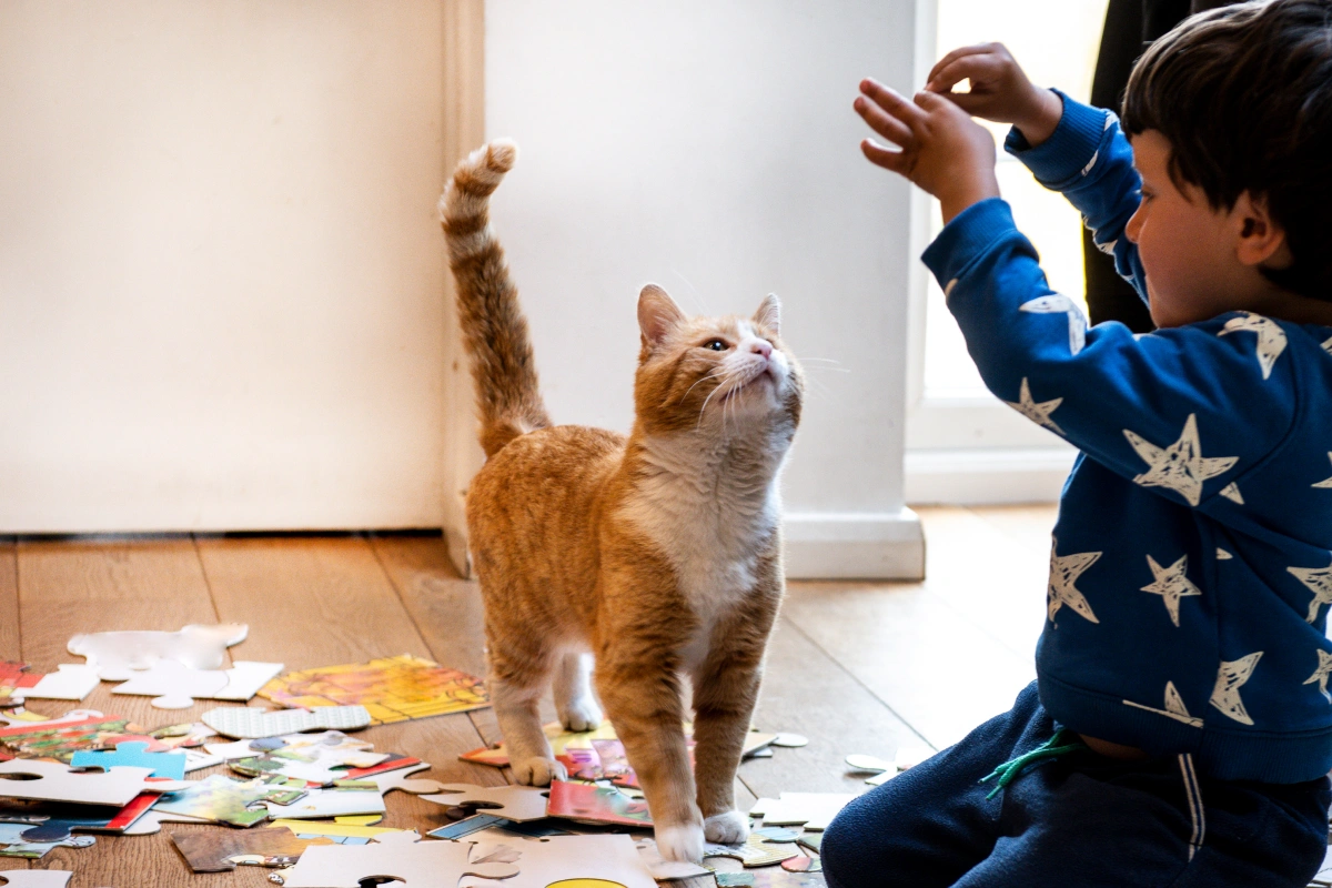 Printable Games & Puzzles