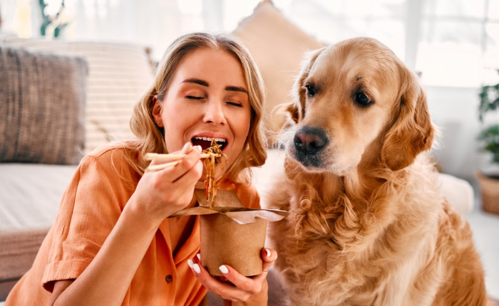 April Newsletter: How You Can Help Prevent Pancreatitis in Your Pets