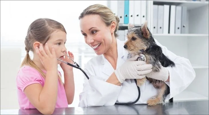 You & Your Vet